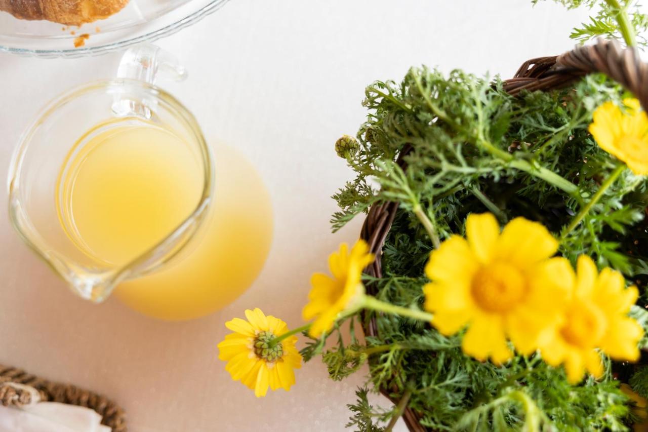 La Corte Del Sole Brucanuova Ngoại thất bức ảnh